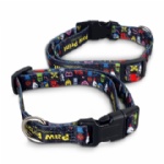 Amigo Dog Collar